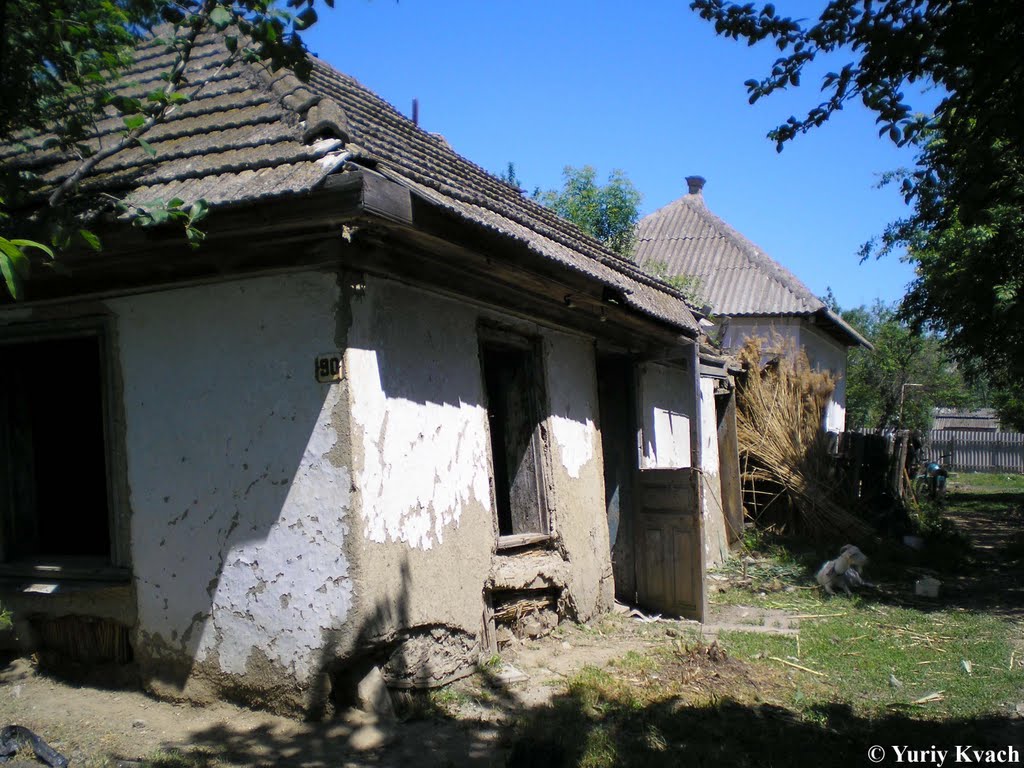 Abandoned house in Vilkove