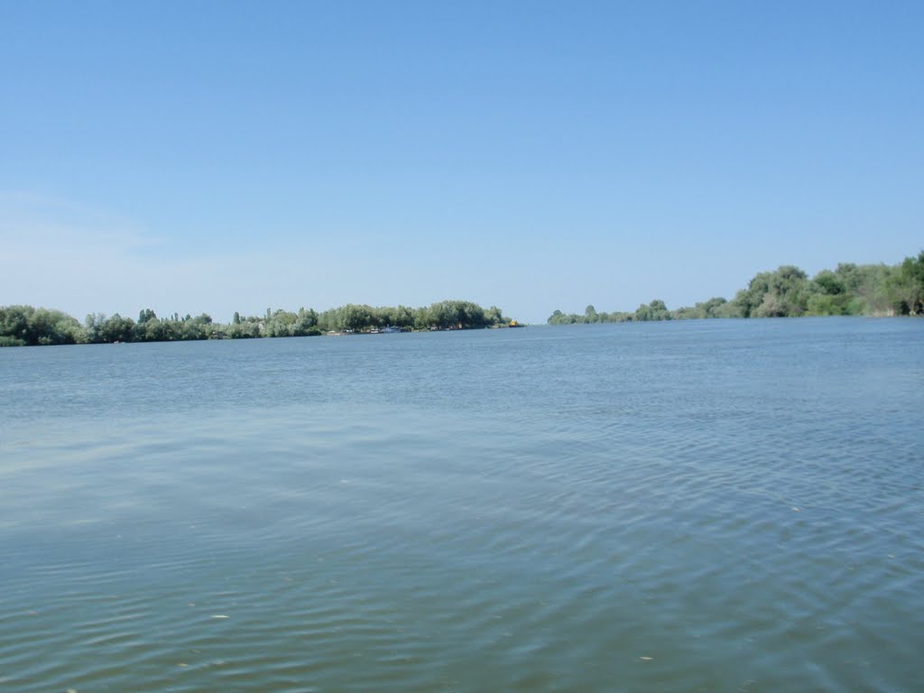 Danubio