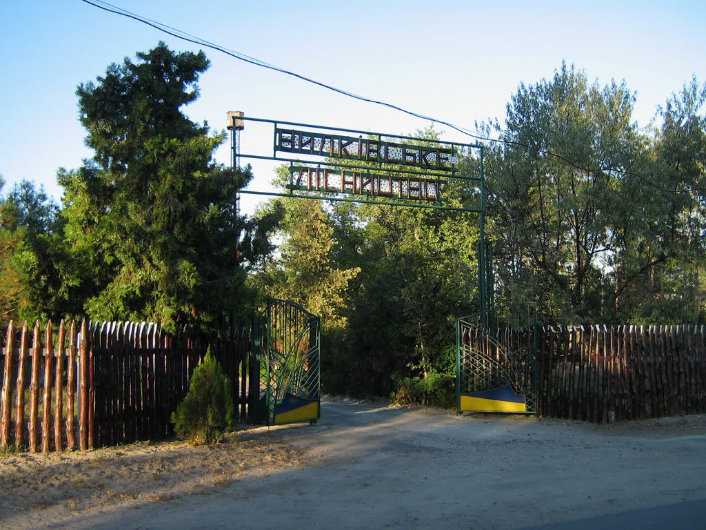 ►Вилковское лесничество