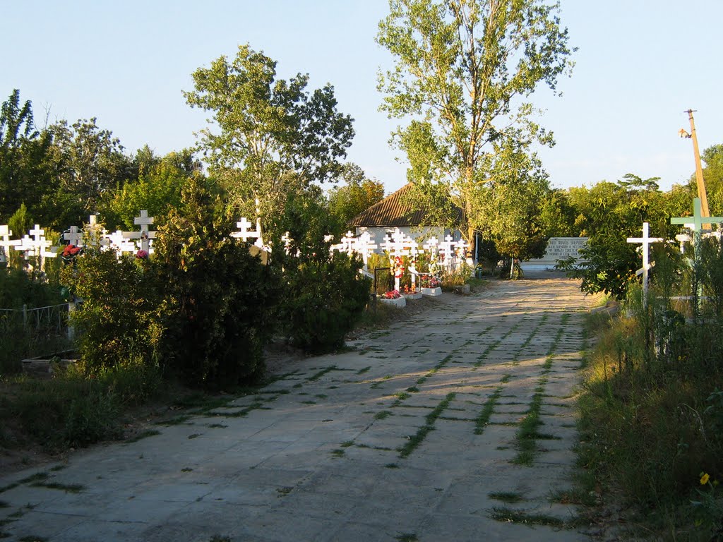 ►Аллея на кладбище