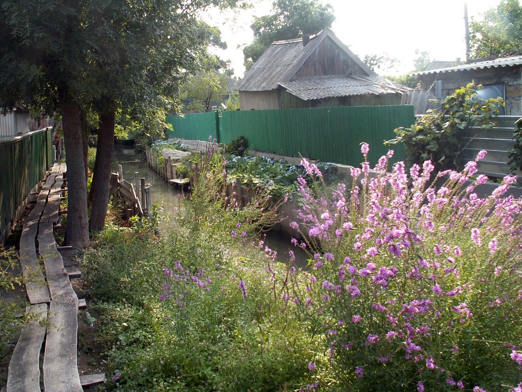 In Vilkovo (1)