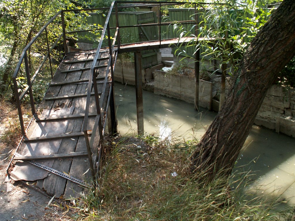 In Vilkovo (2)