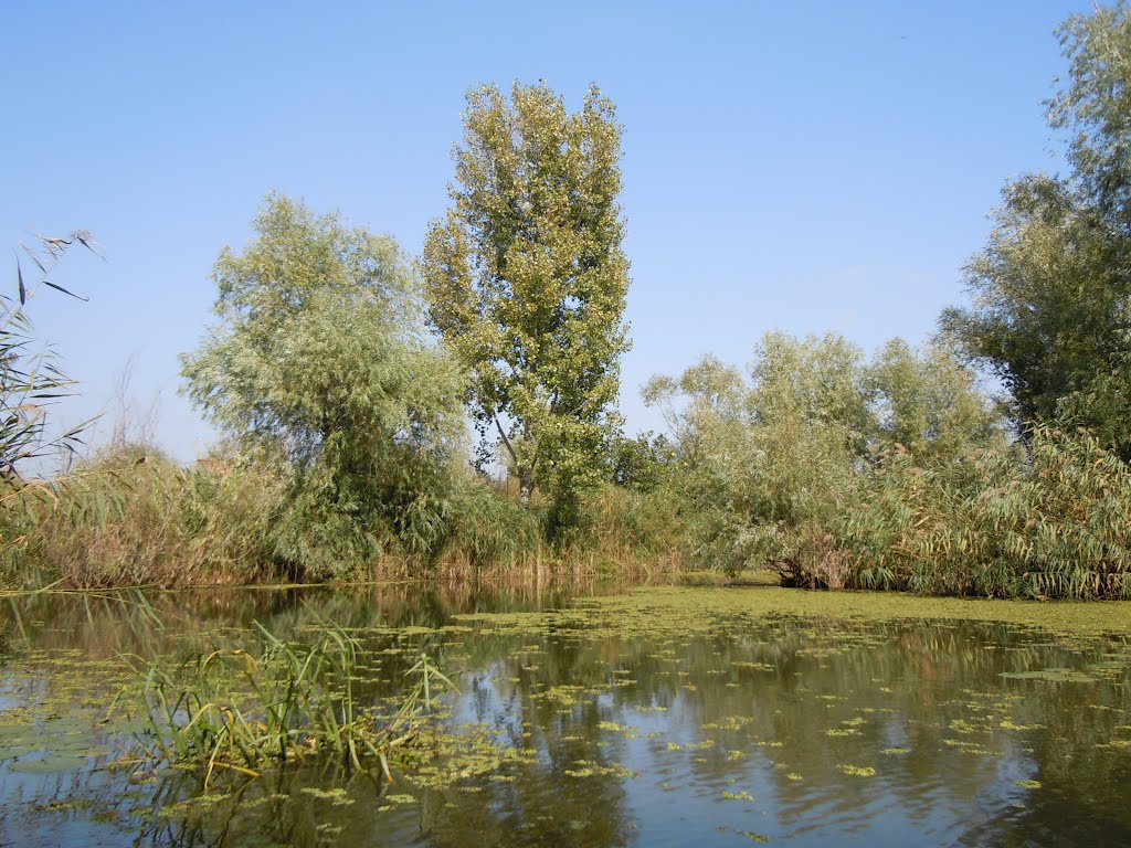 A canal in Vilkove, Ukraine
