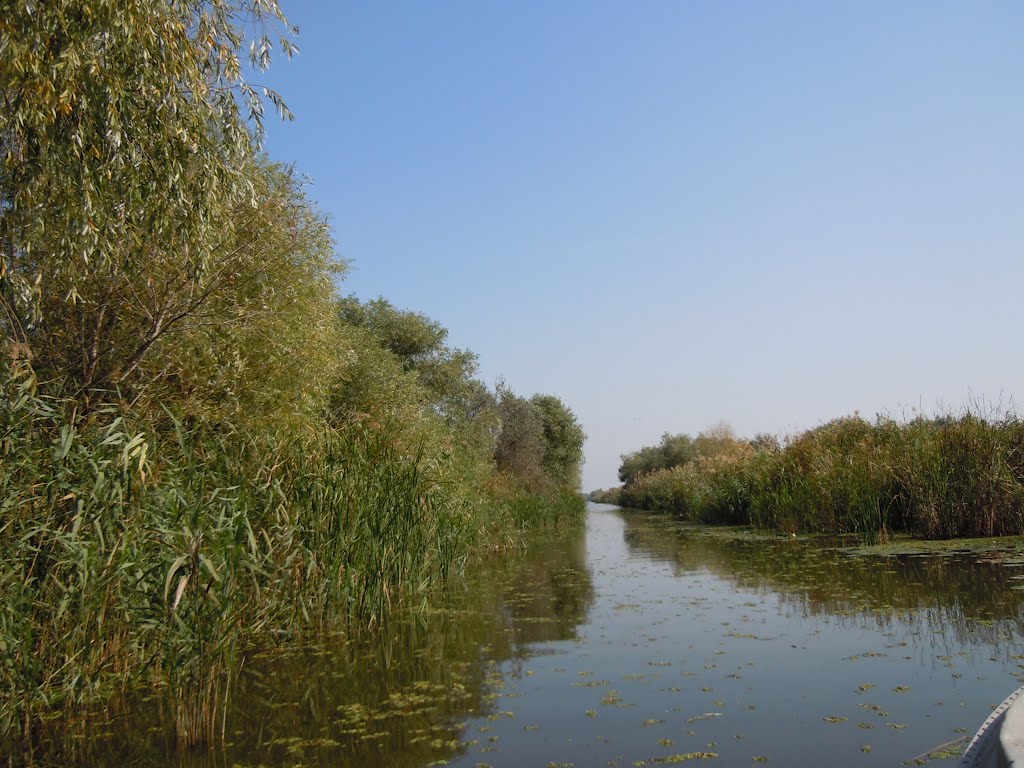 A way to the Black Sea from Vilkove