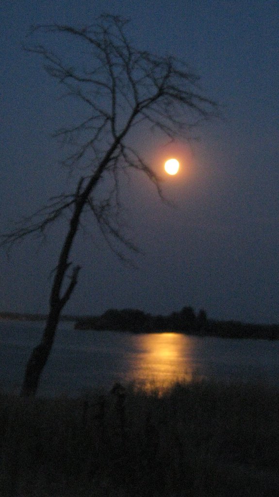 DANUBE
