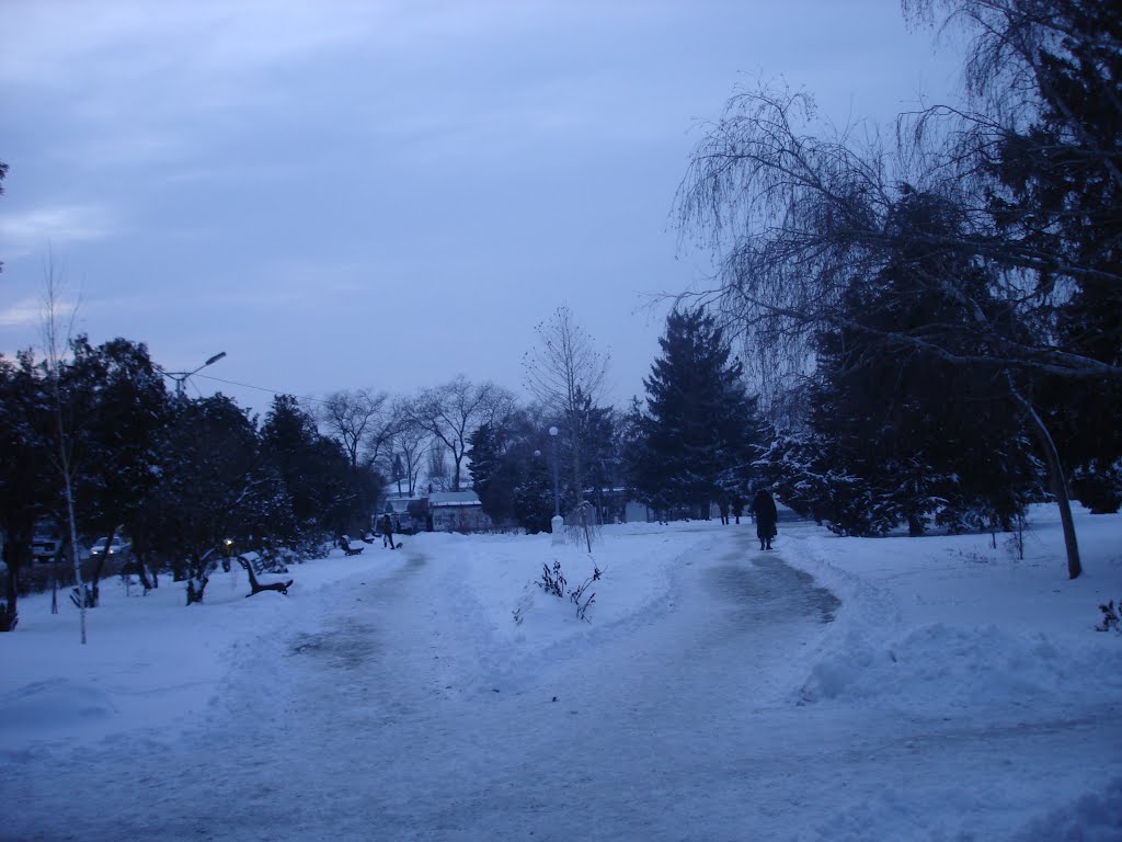 Center