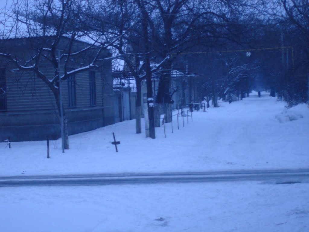 Papanina str