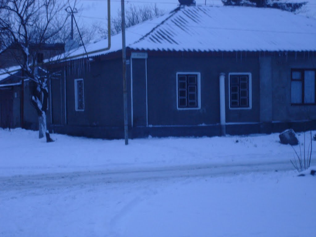 tolbukhina st.