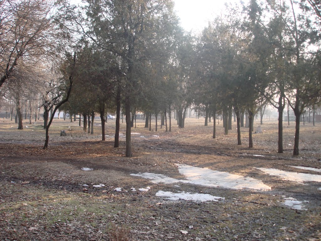 former Jewish cemetery