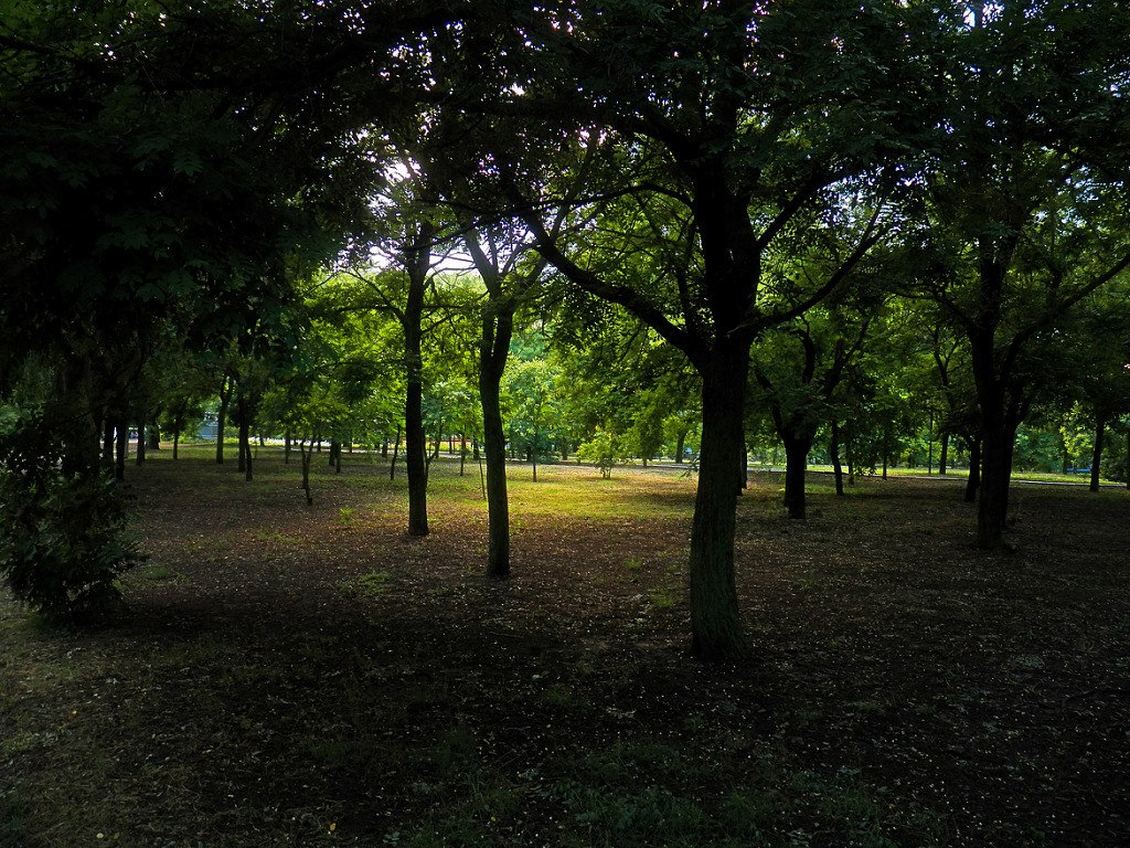 в парке