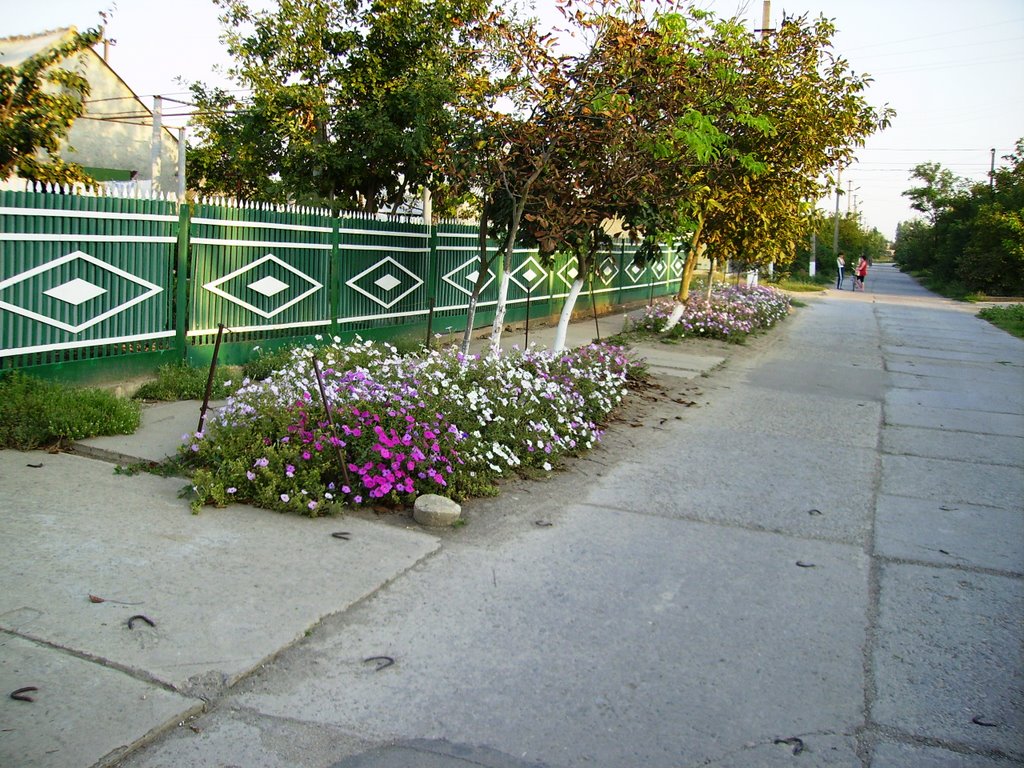 ул.Колхозная