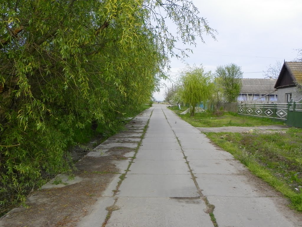Килия ул. Победы
