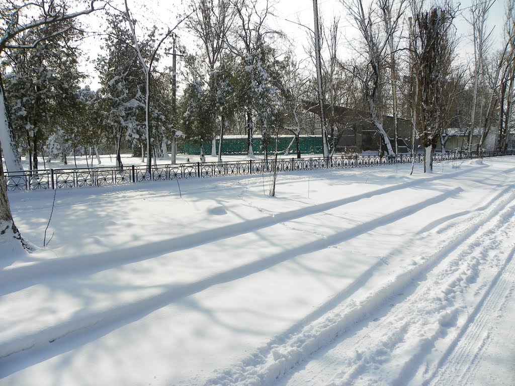 Килия возле парка