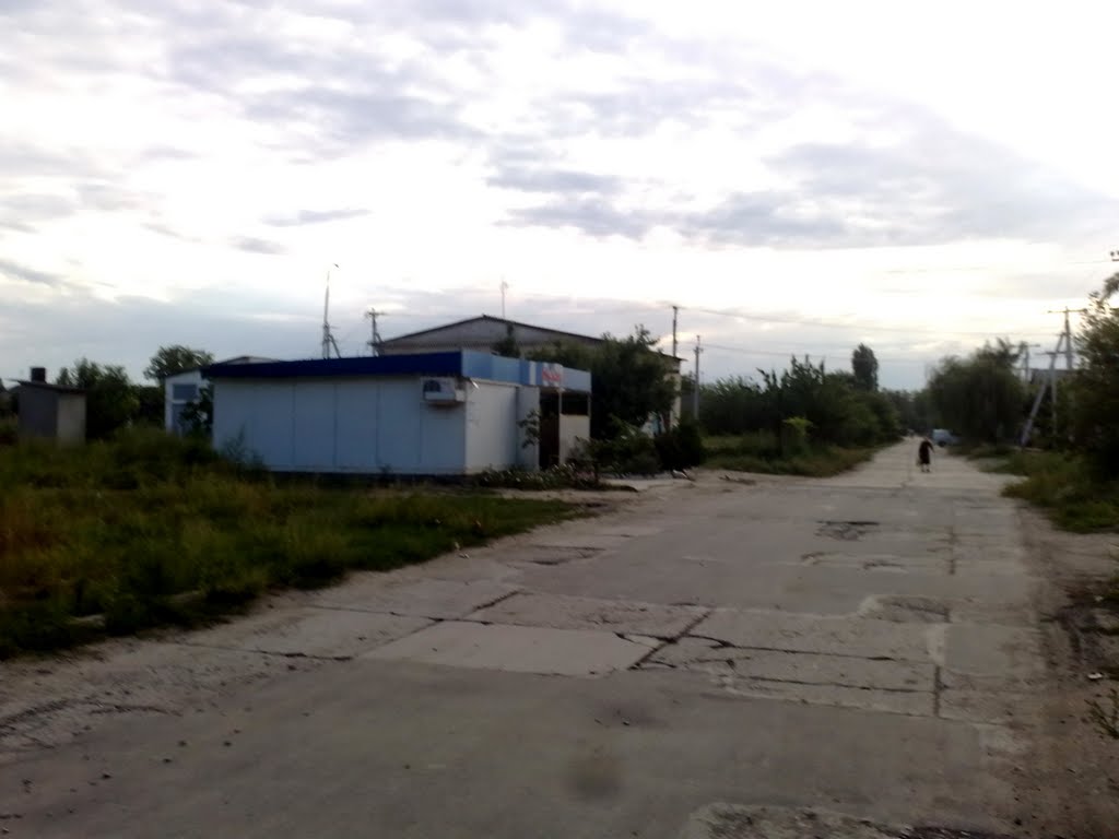 Магазин в начале колхозной
