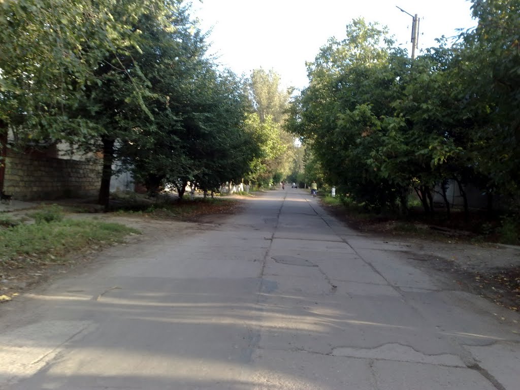 Дунайская