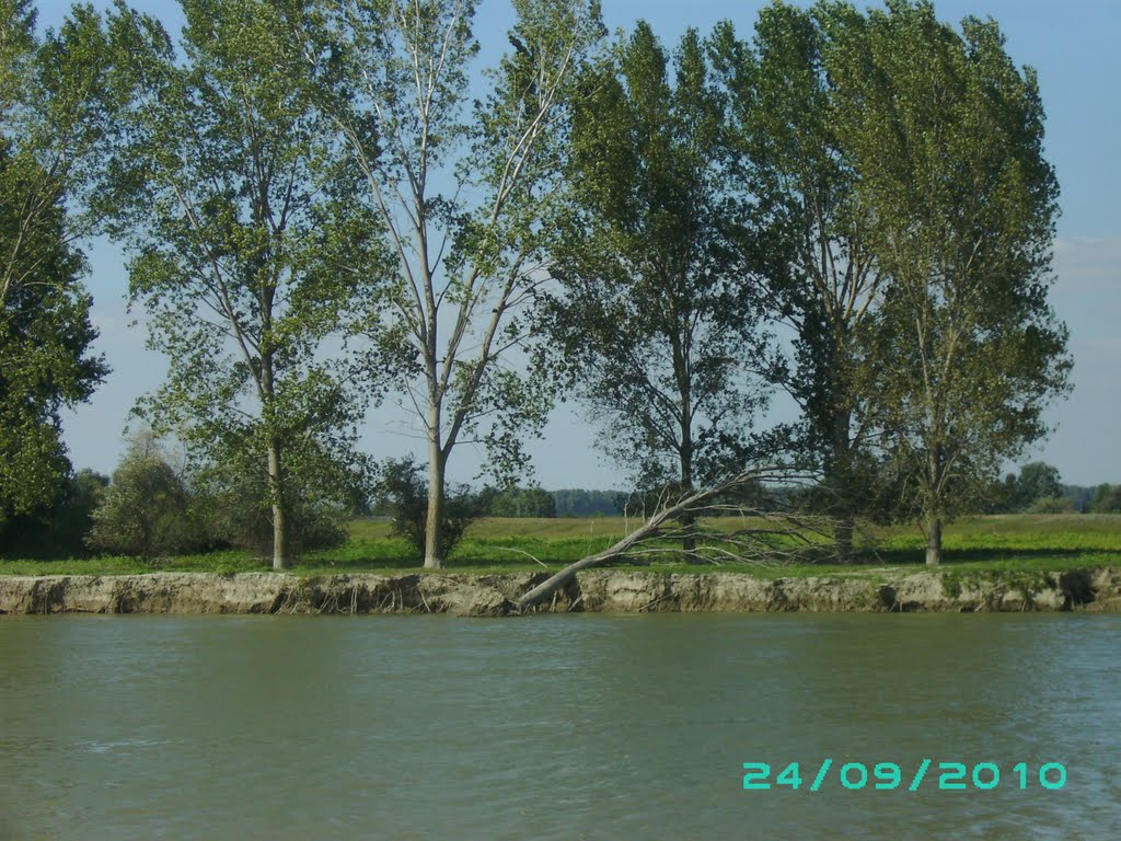 Chilia, Danube, Delta