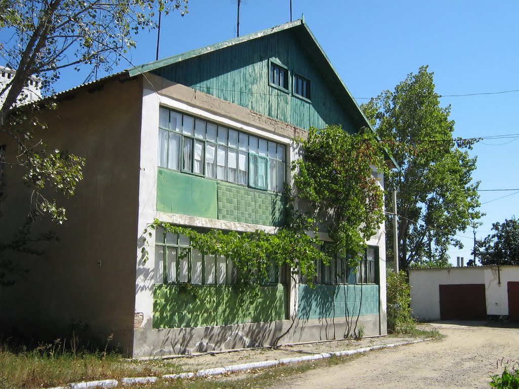 ►В Килие