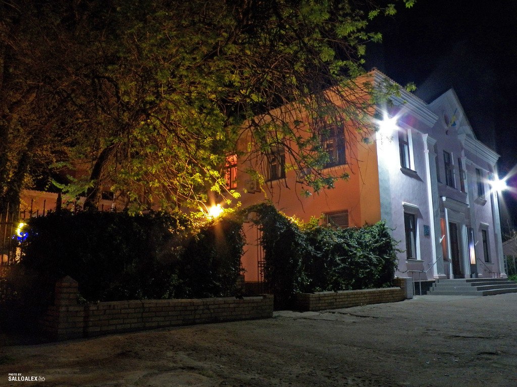 Chilia Veche
