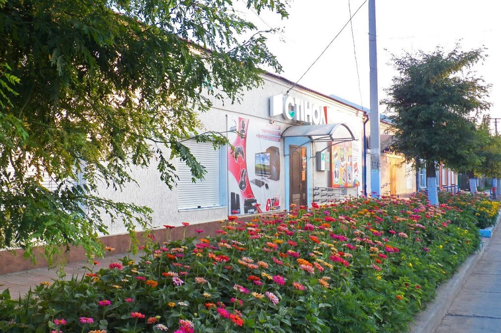 "Стинол"