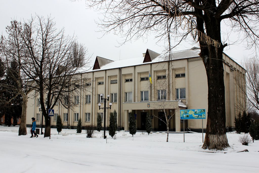Райсовет и районная администрация.