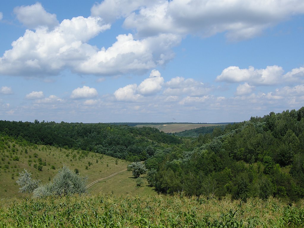 Кодимщина 1