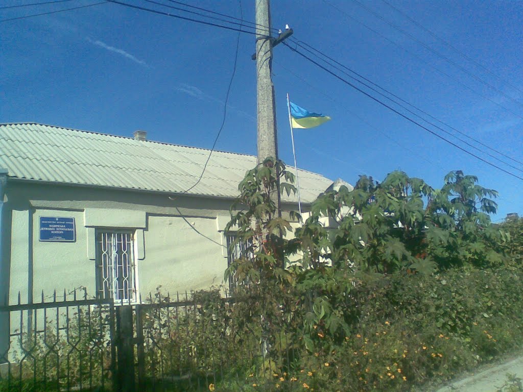 Нотариус