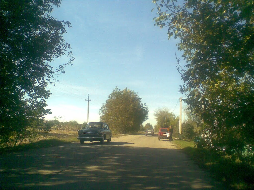 Дорога в Кодыму
