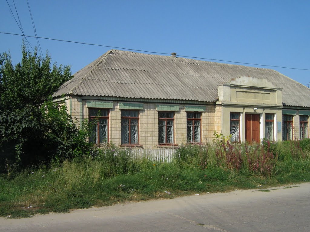 ►В Кодыме
