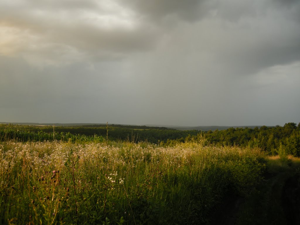Краєвид