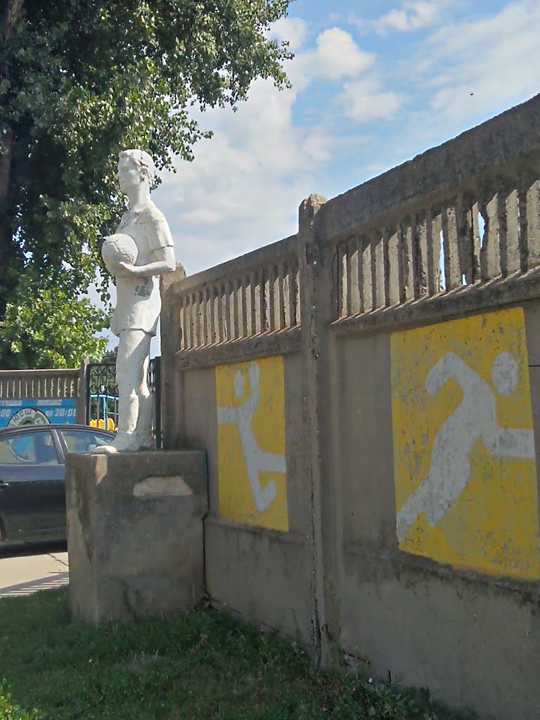 Стадион ДЮСШ