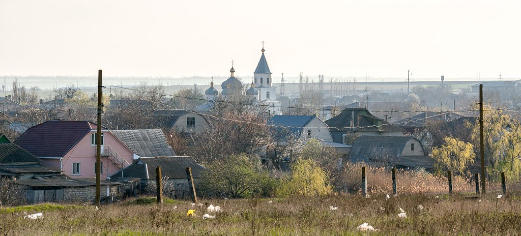 Коминтерновское.