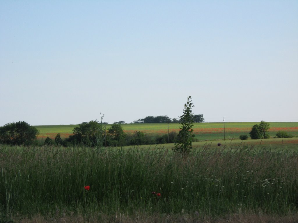 Pivdenne