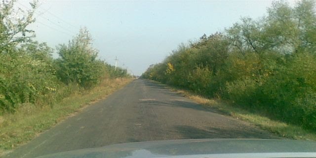 летняя дорога