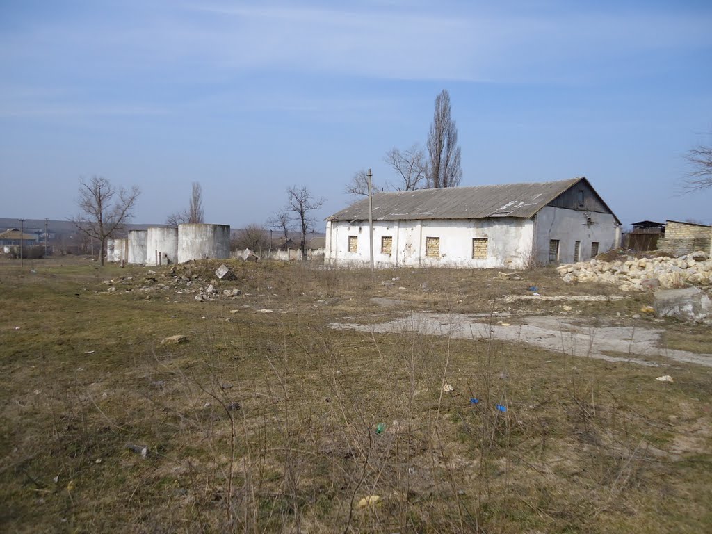 винзавод