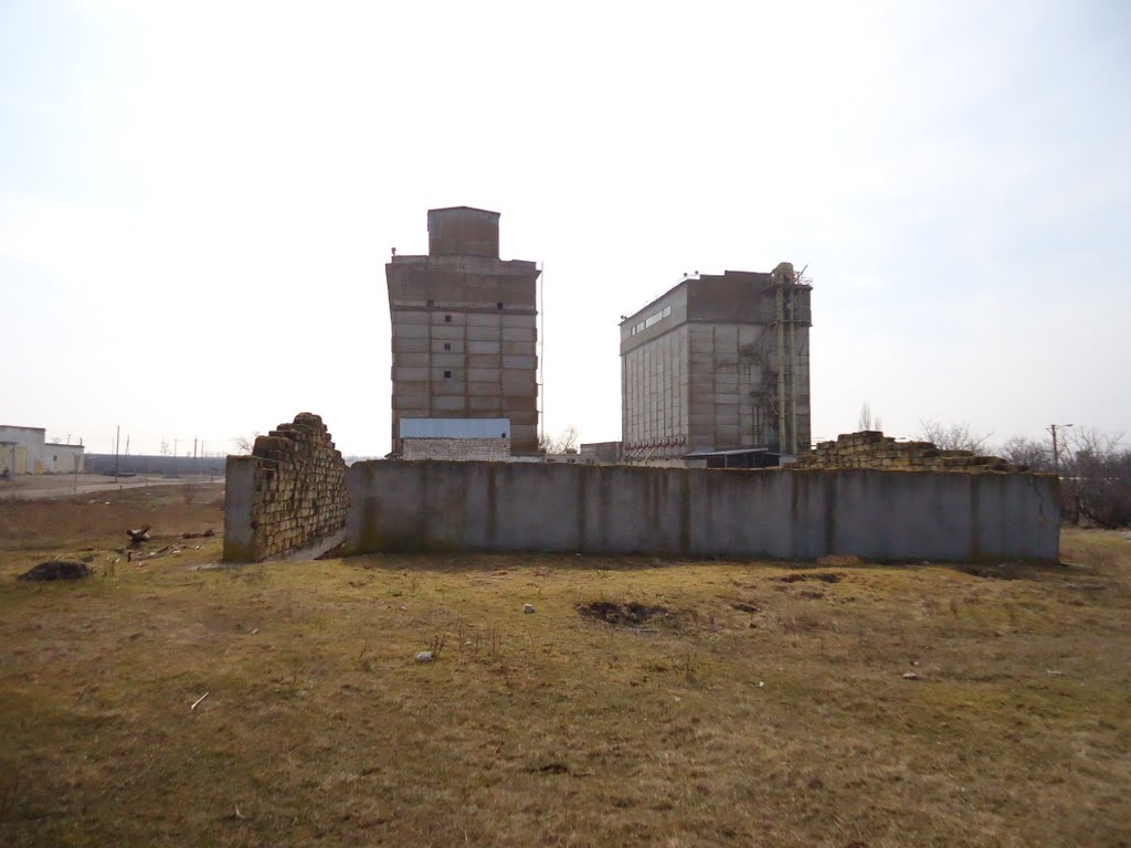 винзавод