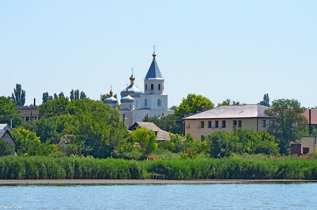 г.Коминтерновское. Ставки.