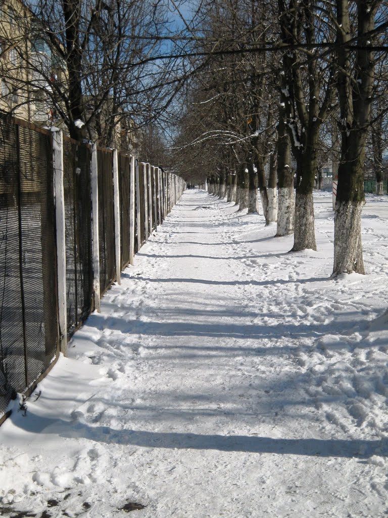 Улица Самборского