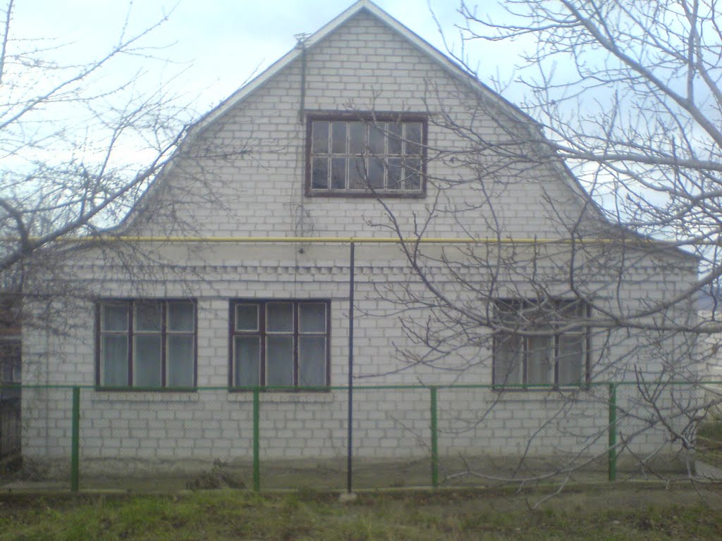 Павлюки