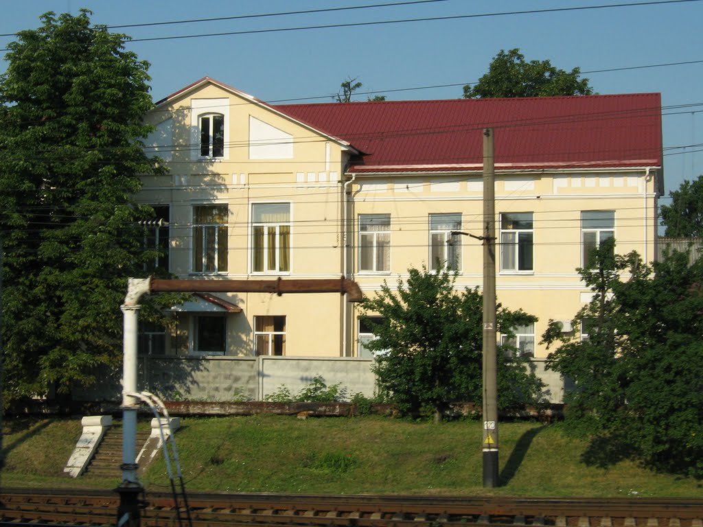 ►Бирзула