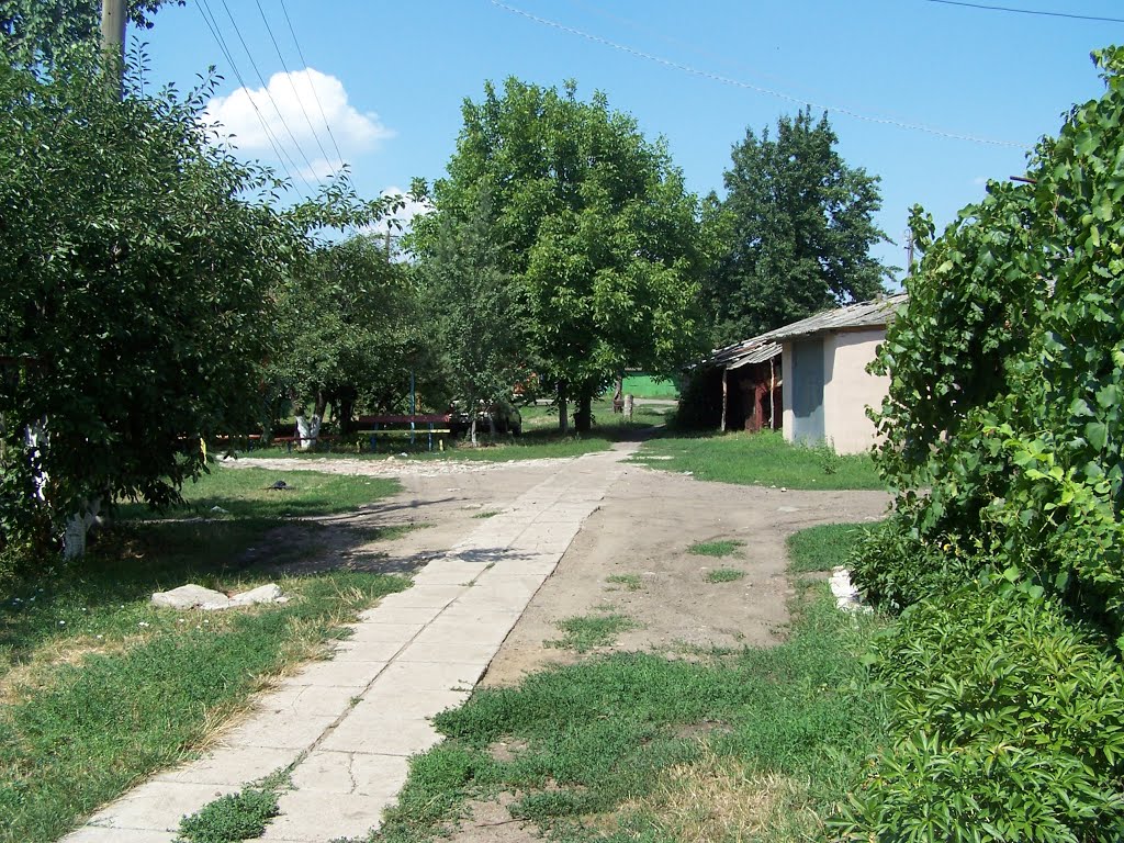 Комсомольская 127 (двор)