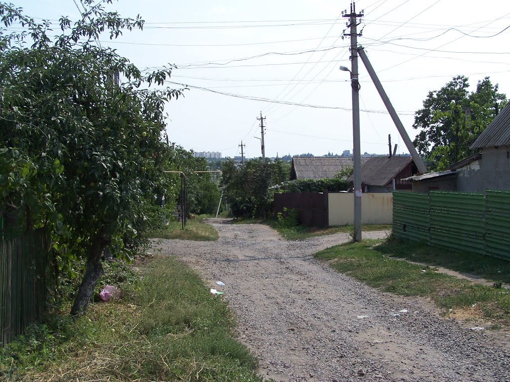 Серова  угол Токарева