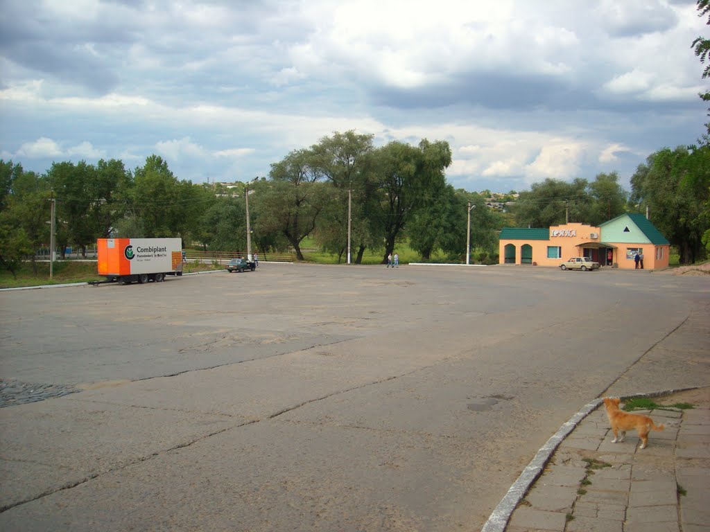Центральная дорога