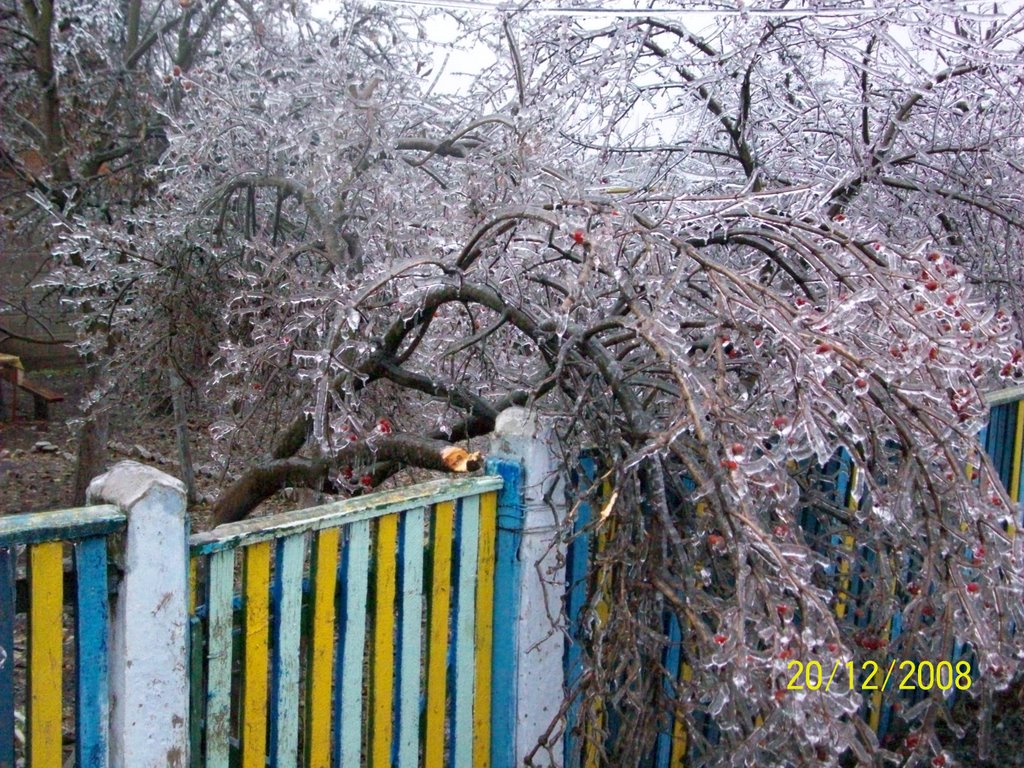 Дом в Любашевке