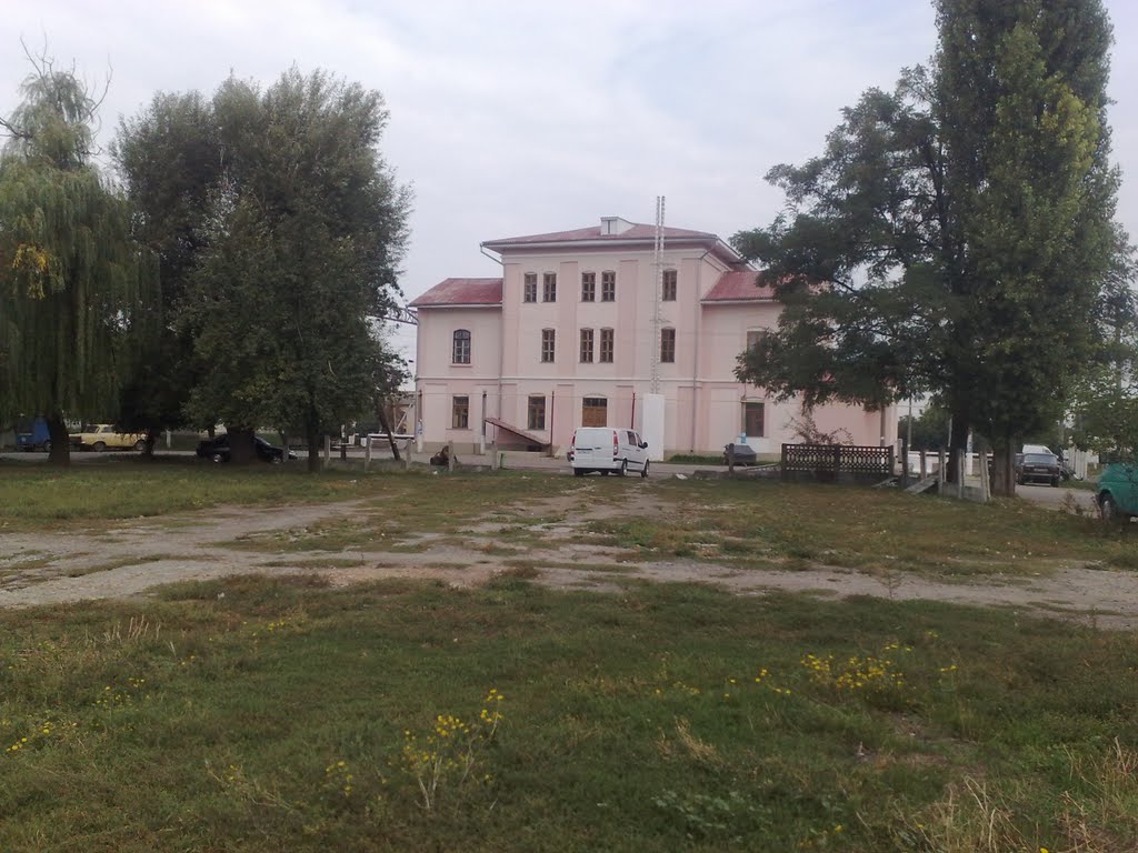 ЖД станция Любашевка