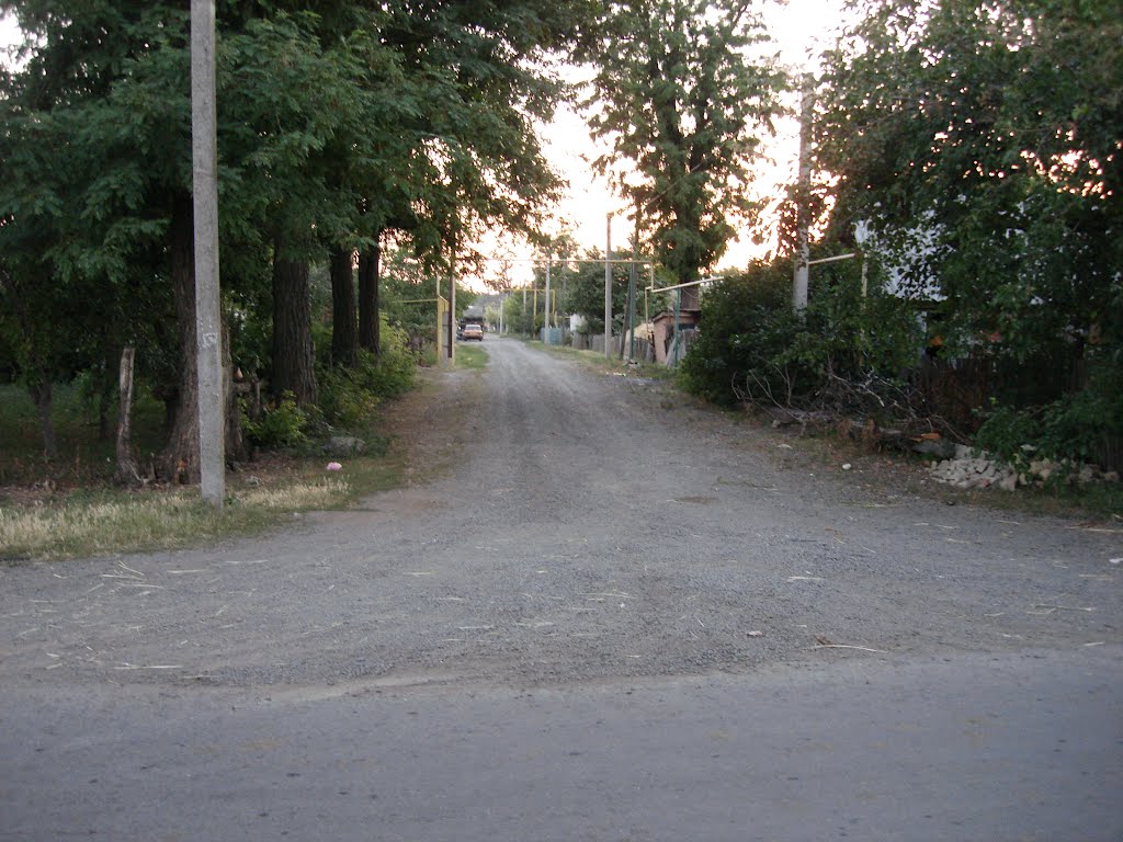 Садова