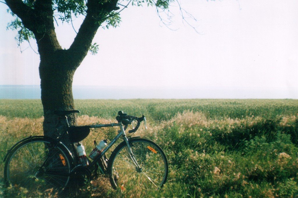 The Dnestrovsky estuary