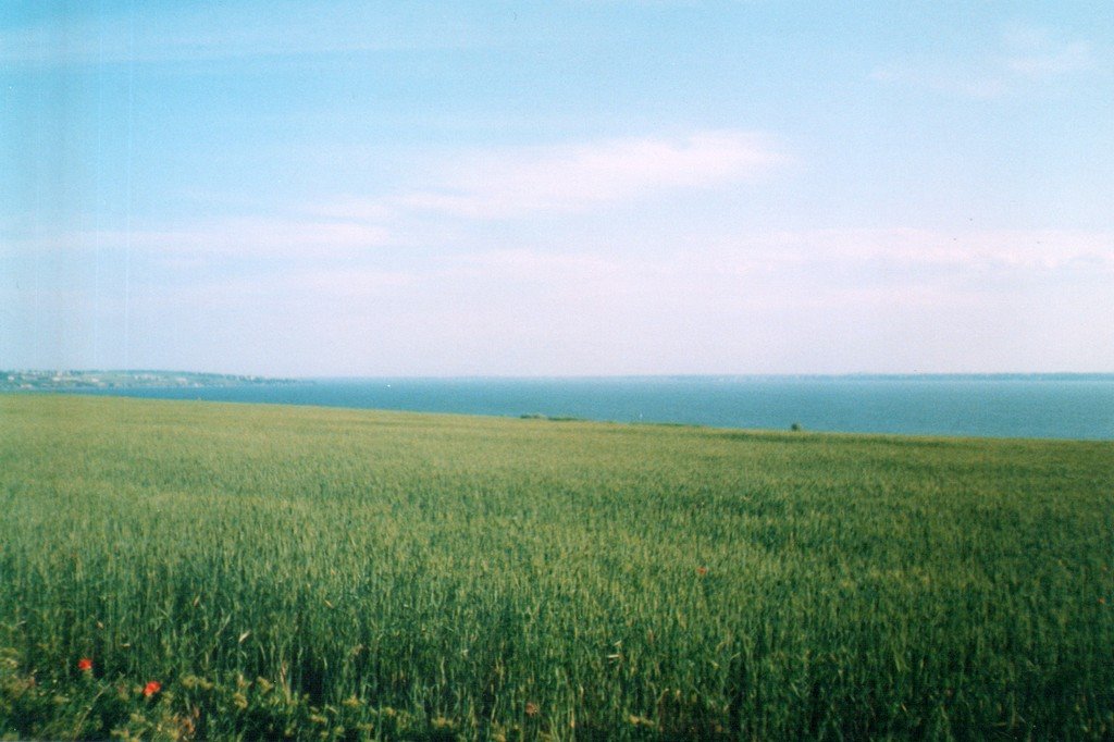A view of Dnestrovsky estuary