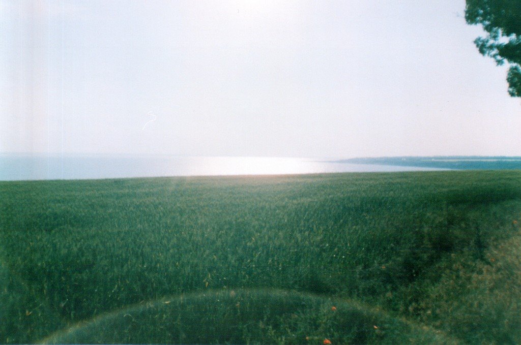 A view of Dnestrovsky estuary (to the north)