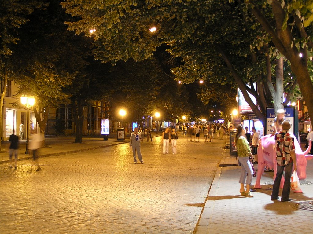 Дерибасовская (1).