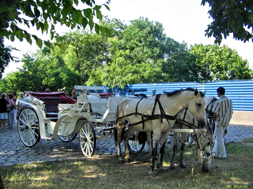 The carriage. Odessa. Ukraine